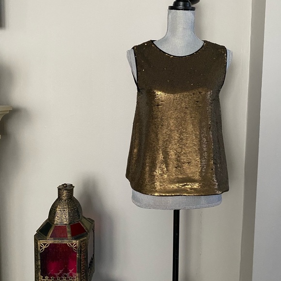 Massimo Dutti Tops Massimo Dutti Gold Sequin Tank Poshmark